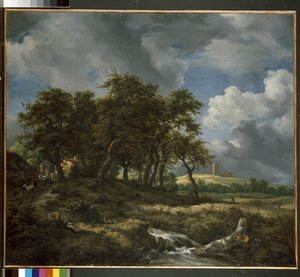 Paysage près de Muiderberg, début des années 1650 - Jacob van Ruisdael